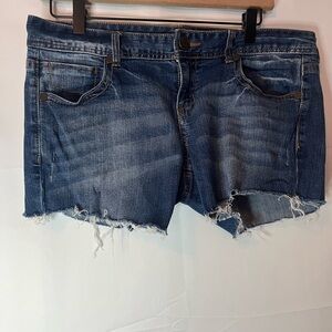 Maurices Distressed Blue Denim  Cutoff Shorts